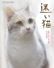 迷い猫 関由香/中岡美樹