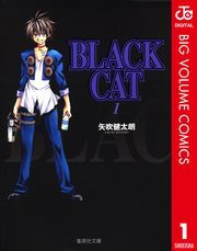 BLACK CAT 1 (Ԃ001) / N