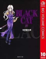 BLACK CAT 10 (Ԃ010) / N