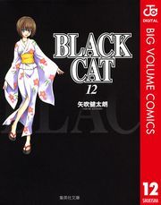 BLACK CAT 12 (Ԃ012) / N